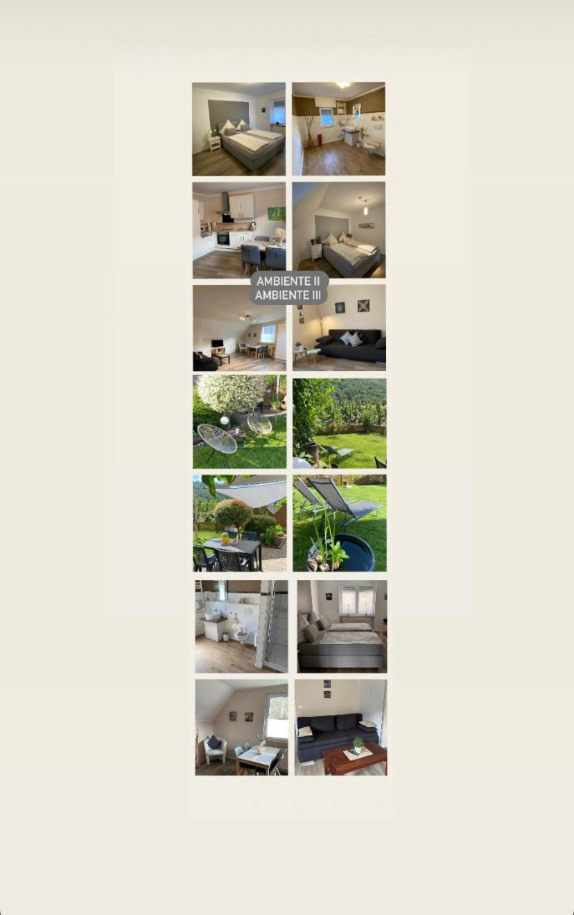 Ferienwohnung Ambiente II Und III Klotten Extérieur photo